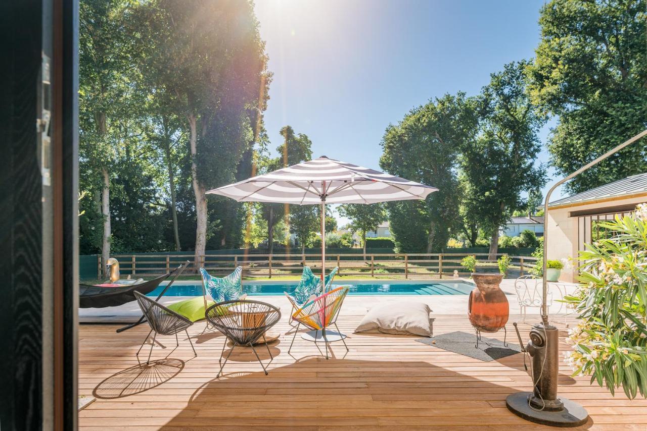 Appartement Du Chateau De La Caillerie Avoine Zewnętrze zdjęcie